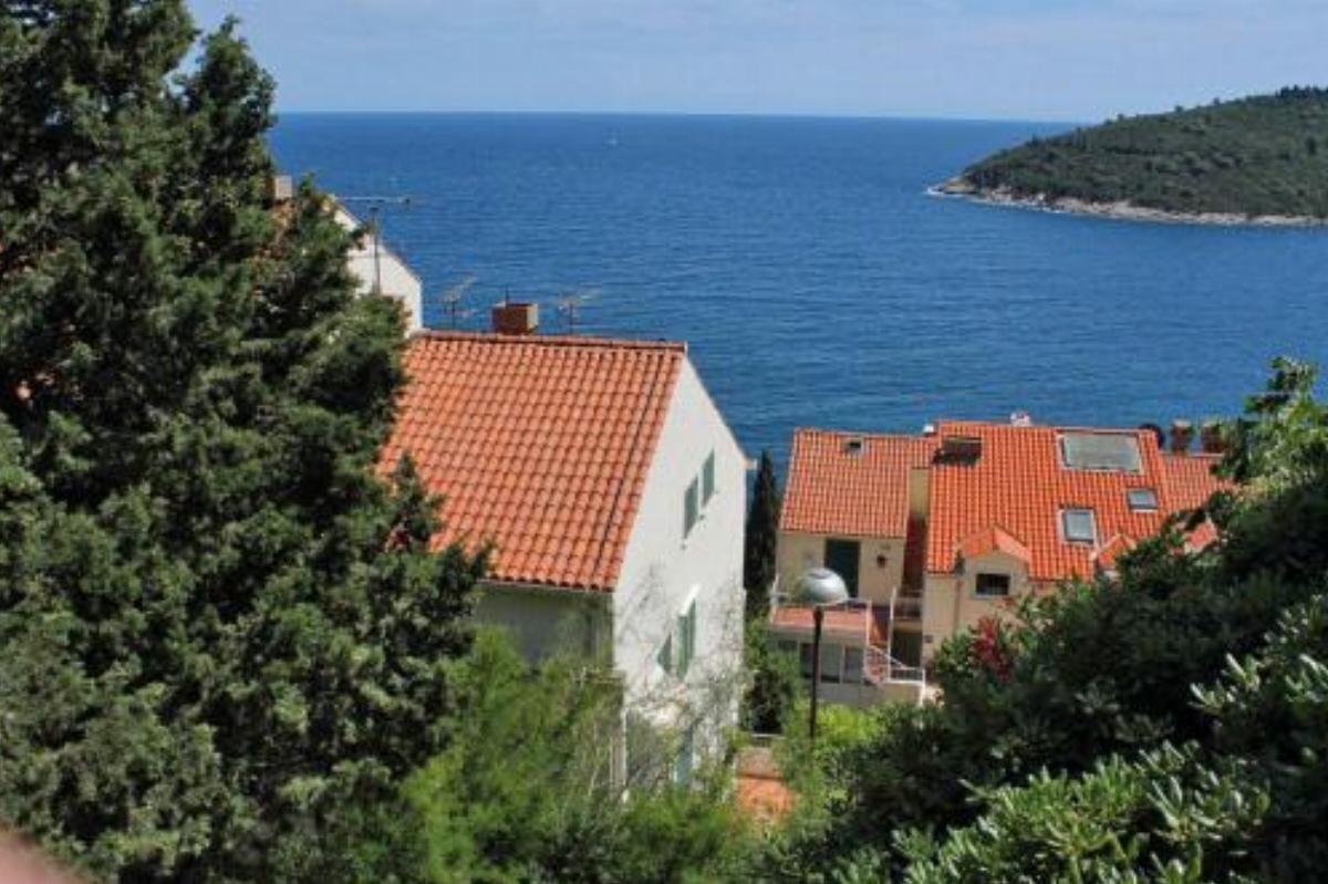 Apartment Dubrovnik 8821a
