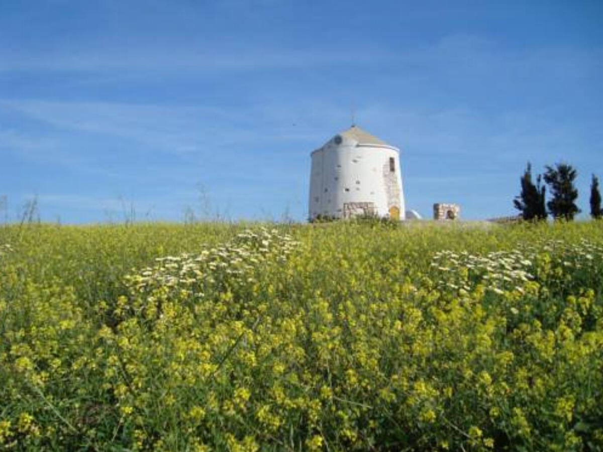 Paros Traditional Windmill