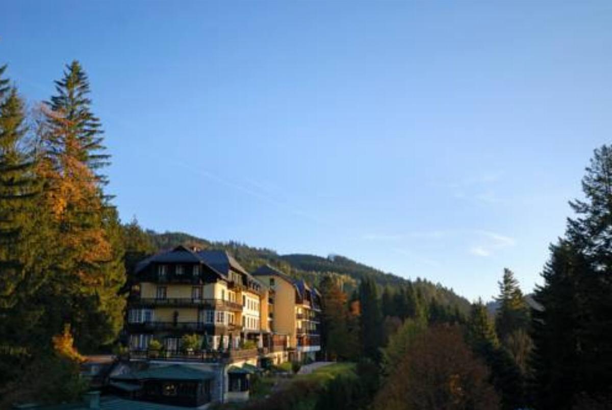 Alpenhotel Gösing