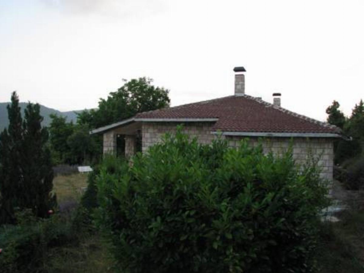 Villa Immagine
