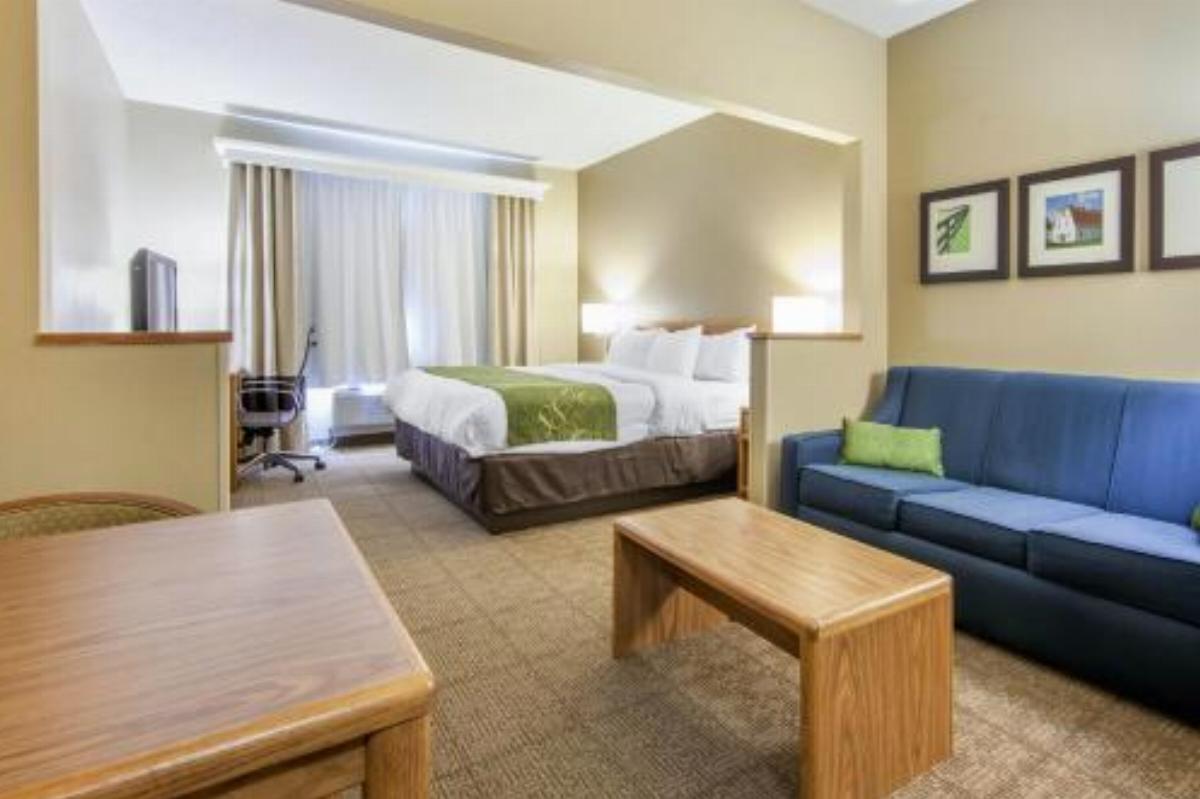 Comfort Suites Lexington
