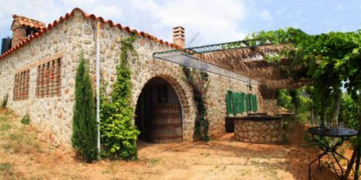 Ecological Vineyard House