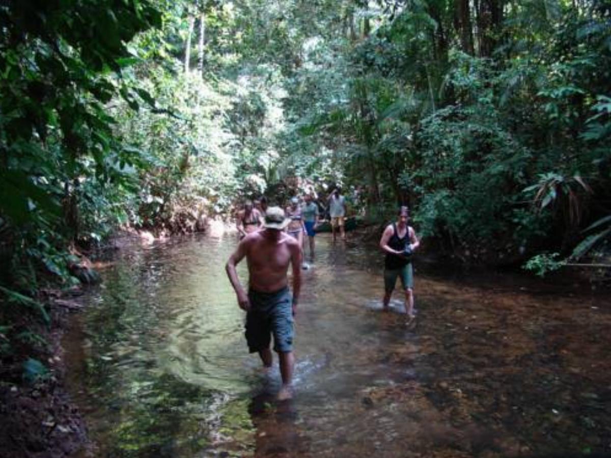 Jungle Land Panama