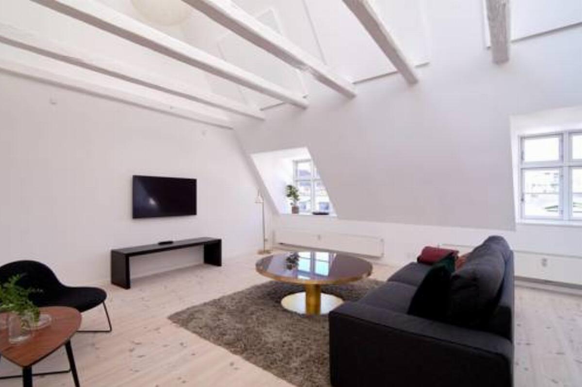 2-story apartment with private roof top terrace Hotel Copenhagen Denmark