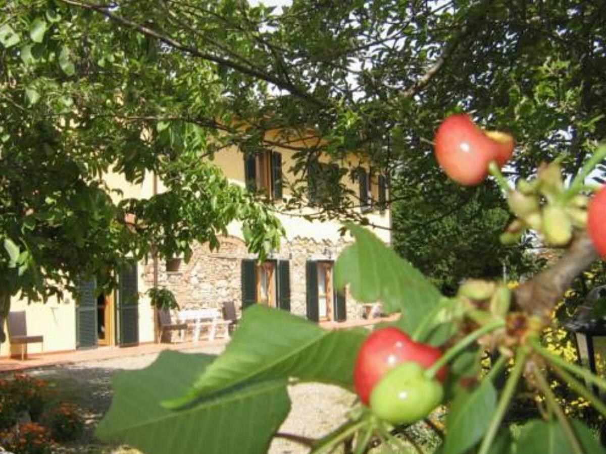 Agriturismo Il Gelso Hotel Pomaia Italy