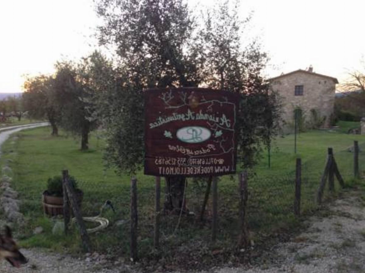 Agriturismo Podere dell' Olmo Hotel Amelia Italy