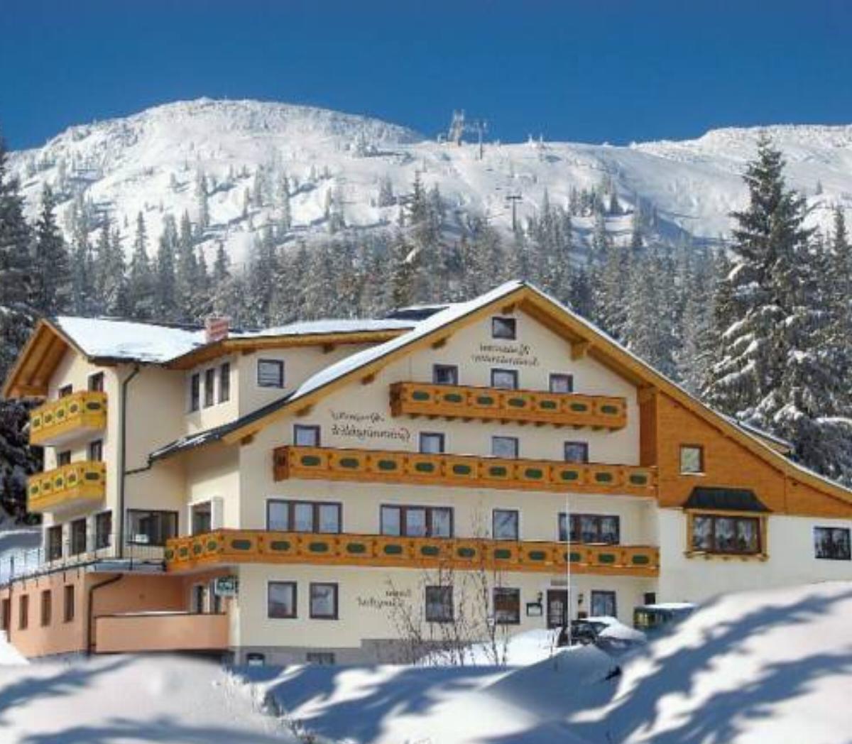 Alpengasthof Grimmingblick Hotel Donnersbach Austria