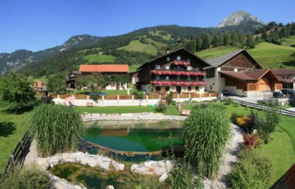 Amosergut Hotel Dorfgastein Austria