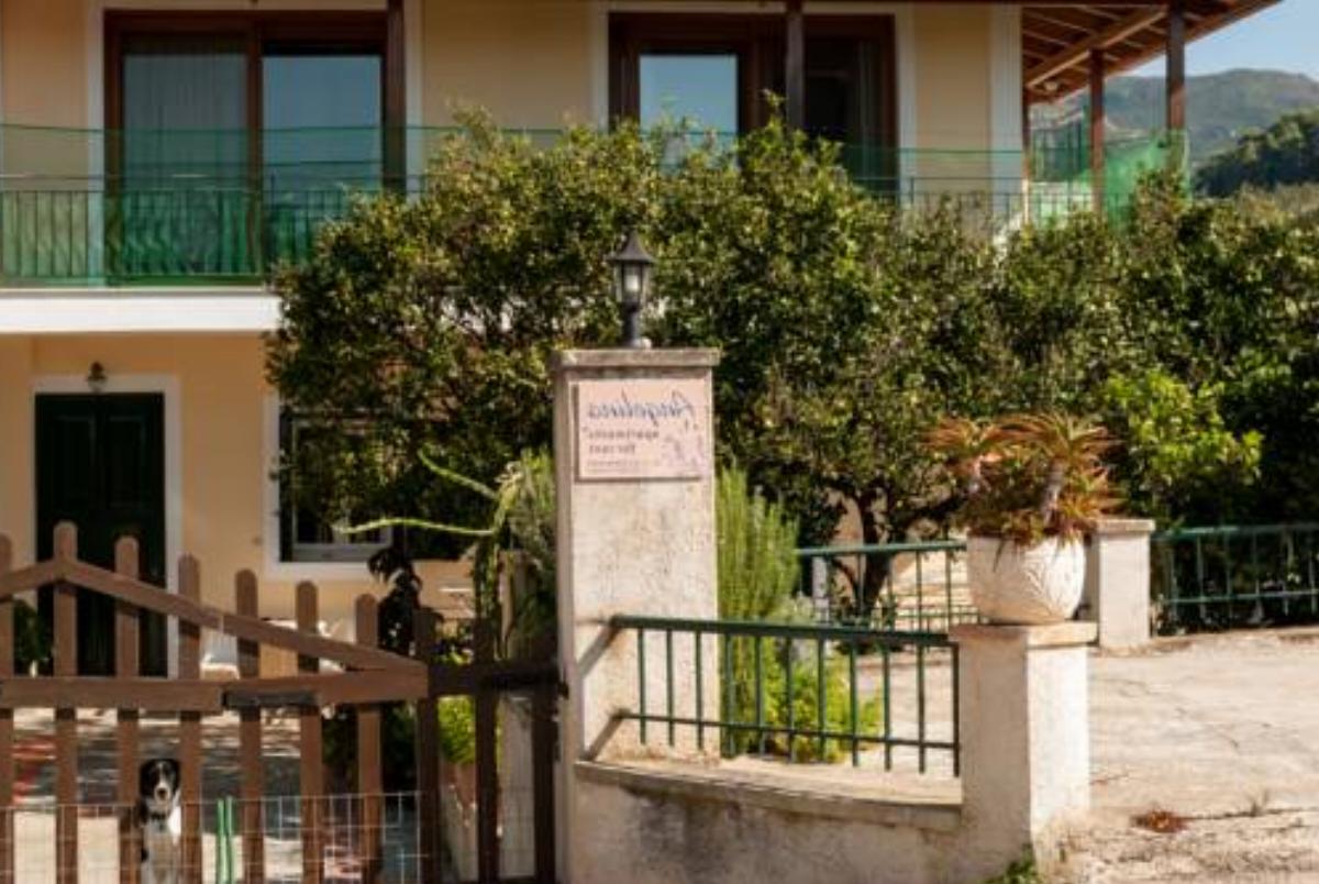 Angelina Hotel Vasilikos Greece