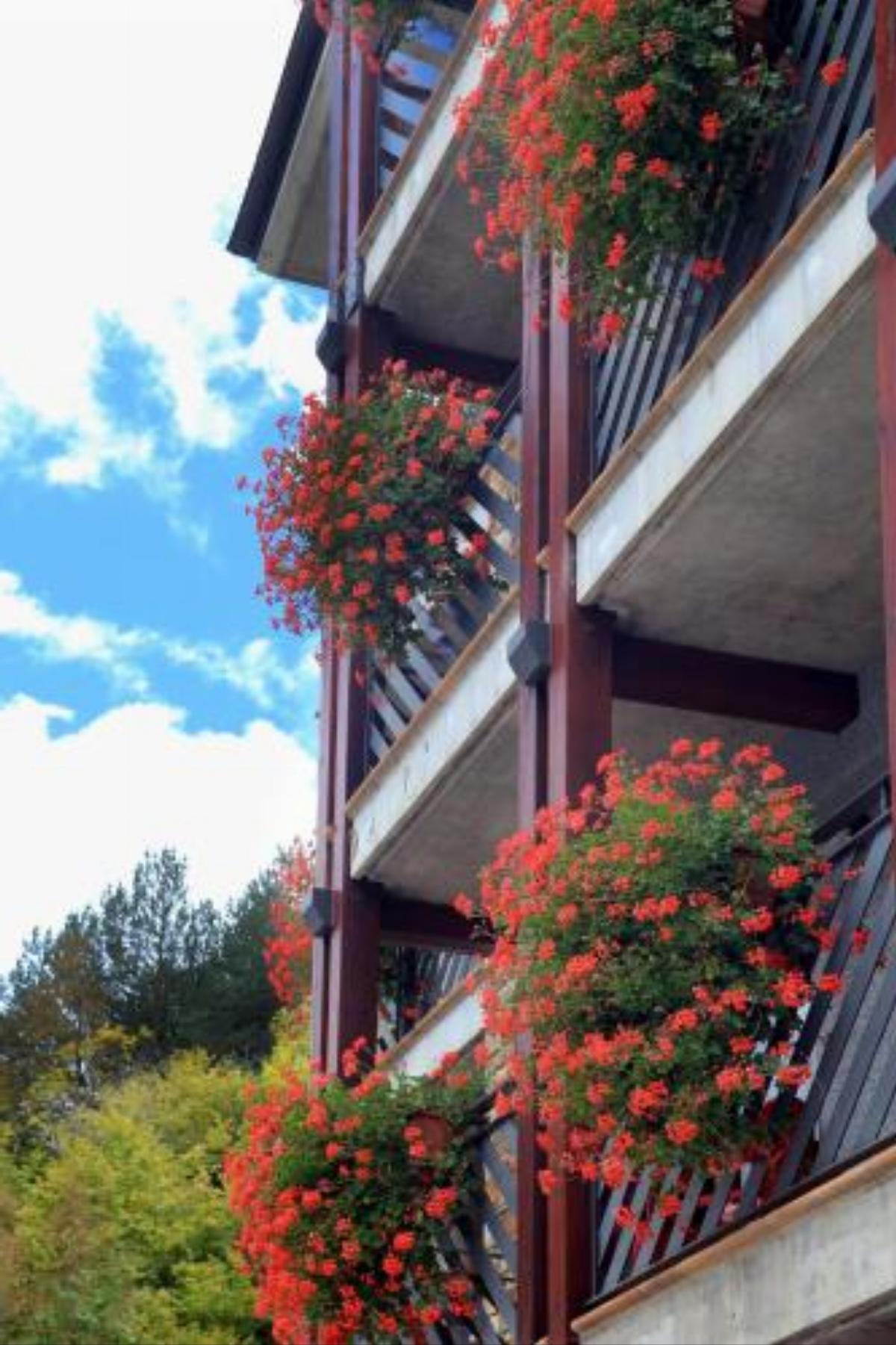 Apartaments Turistics Sant Roma Hotel Arinsal Andorra