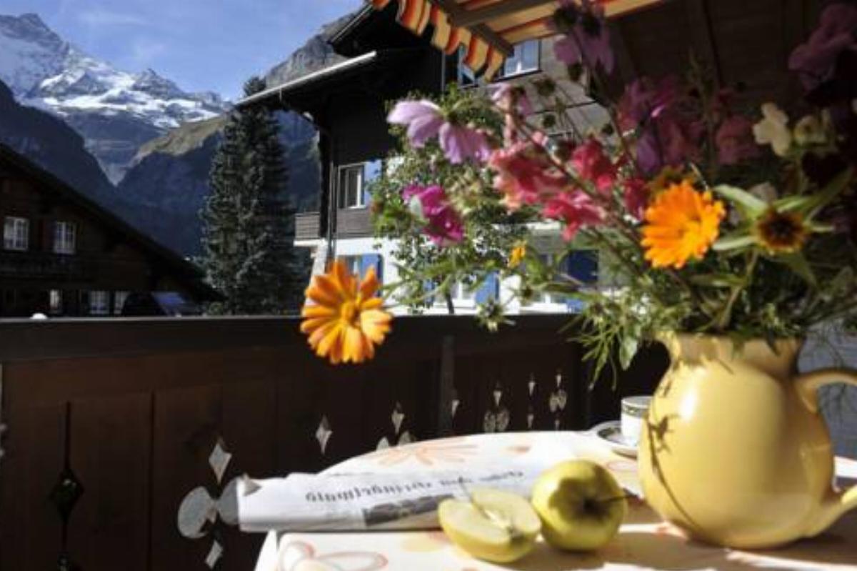 Aparthotel Eiger Hotel Grindelwald Switzerland