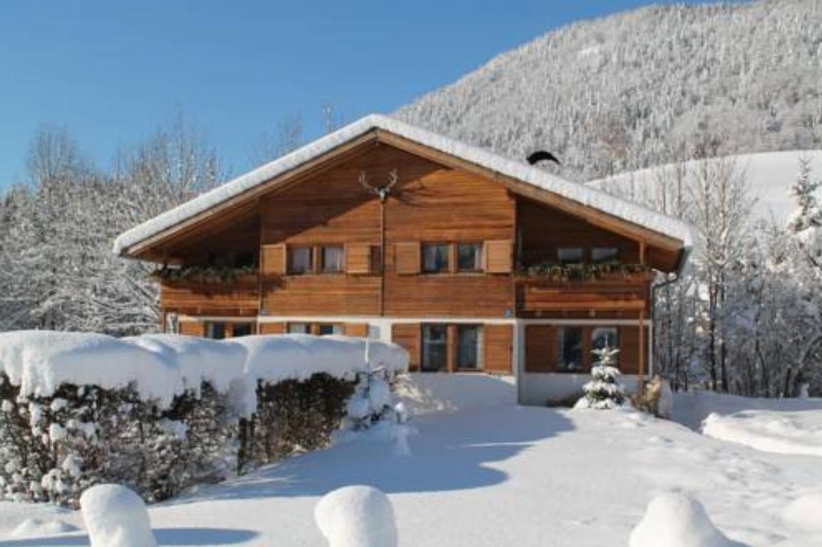 Apartment Senn Hotel Kirchdorf in Tirol Austria