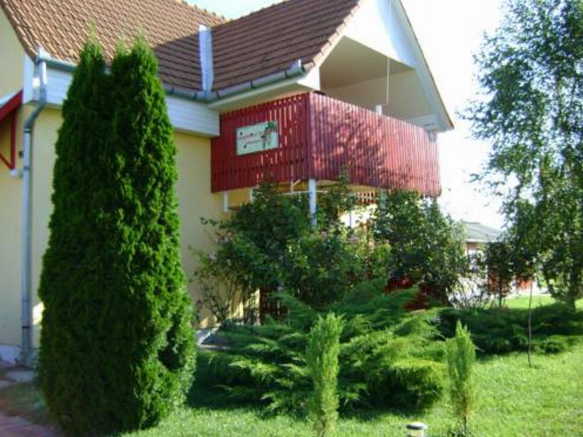 Aranyeső Vendégház Hotel Domaszék Hungary