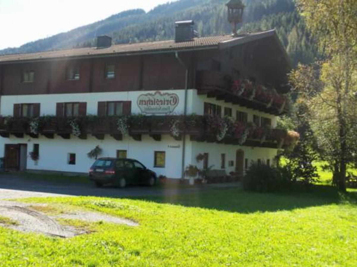 Bauernhof Grieslehen Hotel Leogang Austria