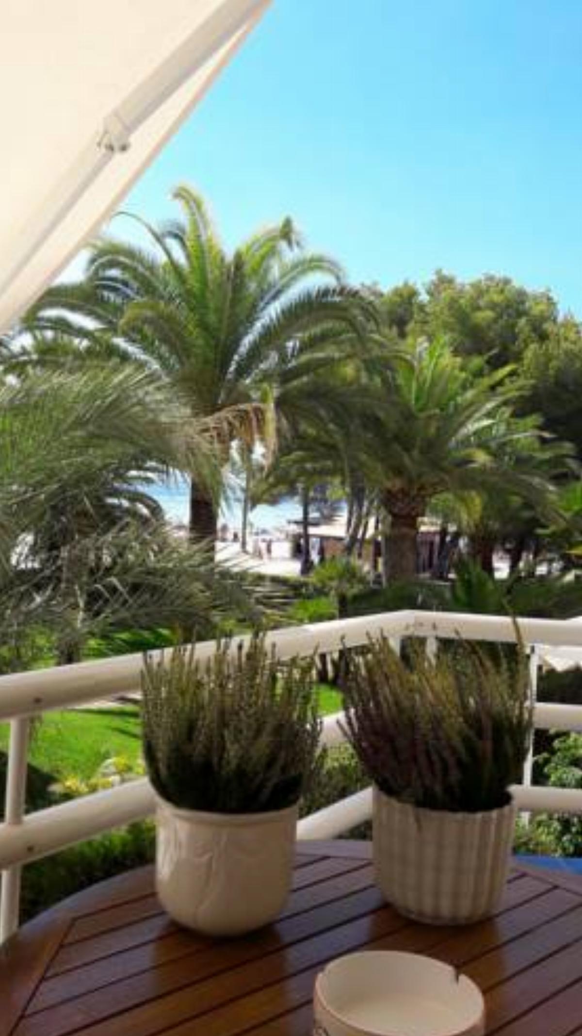 Beach Apartment Minerva Hotel Port d'Alcudia Spain