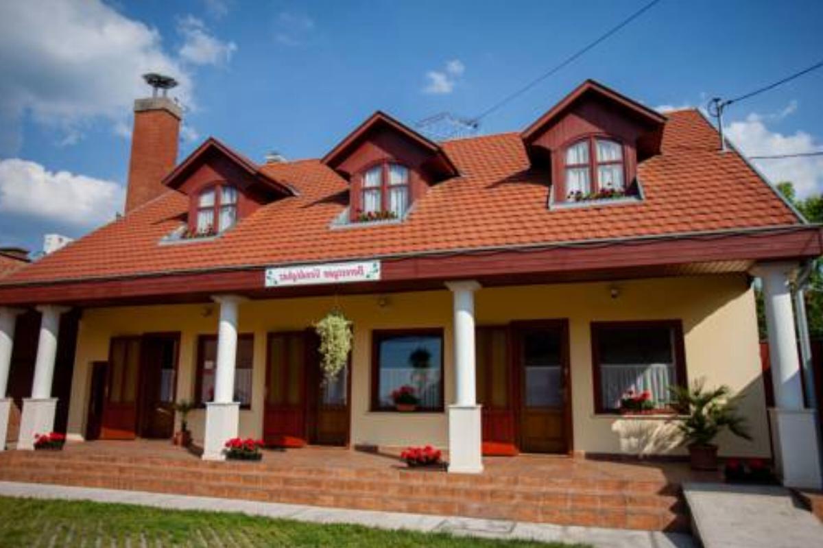 Borostyan Guesthouse Hotel Gyomaendrőd Hungary