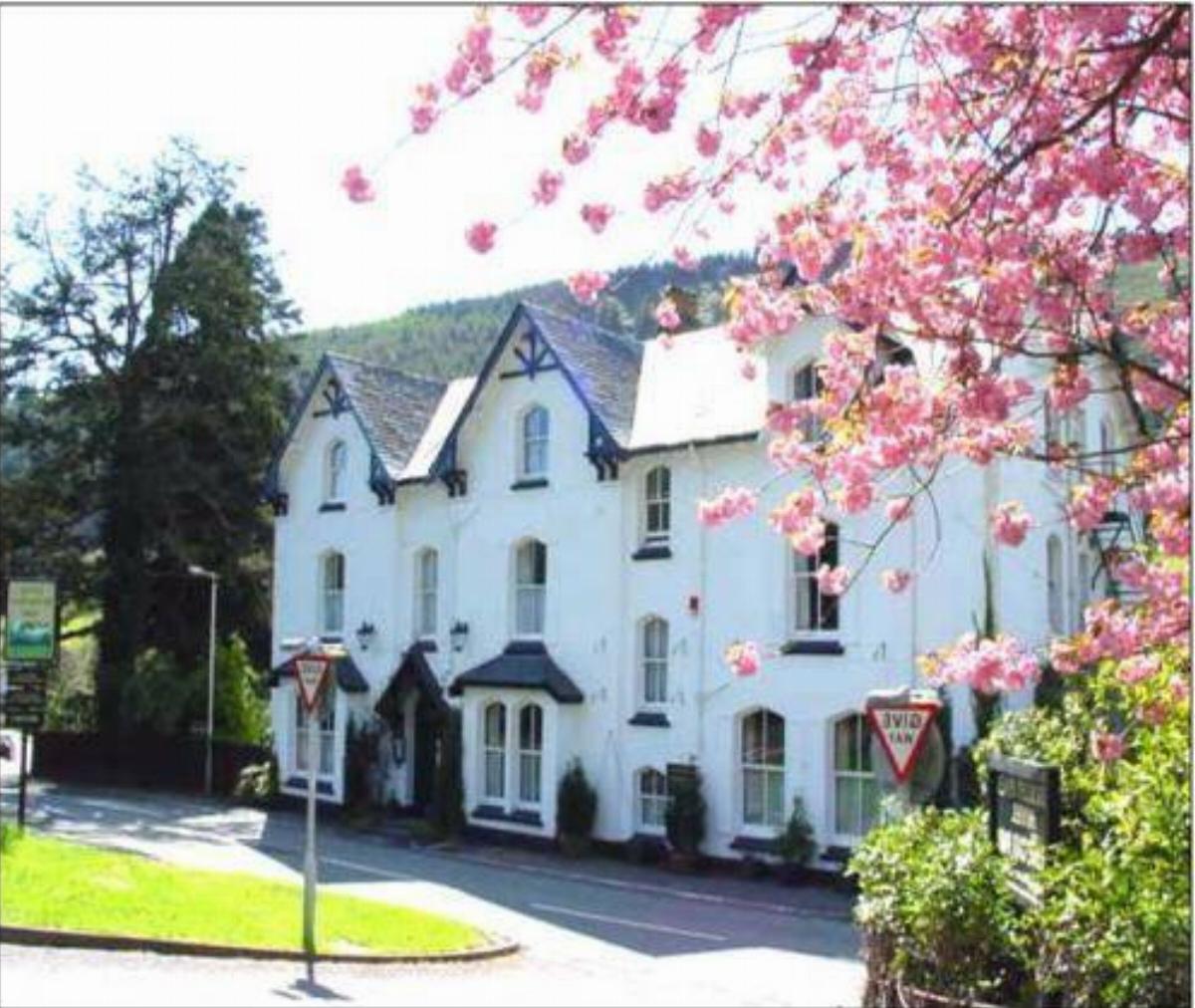Buckley Arms Hotel Dinas Mawddwy United Kingdom