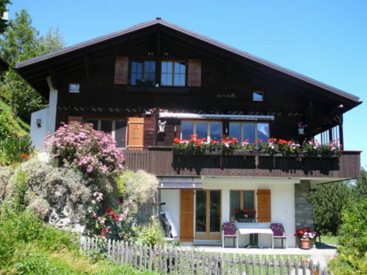 Chalet Acheregg Hotel Wengen Switzerland