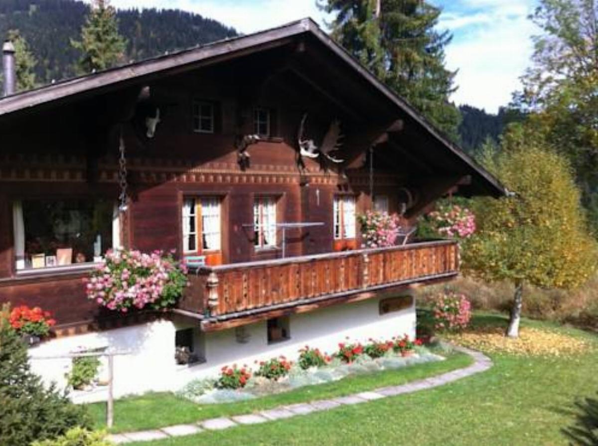 Chalet Nyati Hotel Gstaad Switzerland