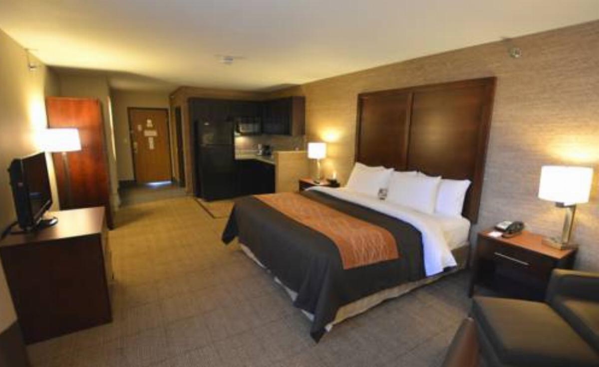 Comfort Inn Ludington Hotel Ludington USA