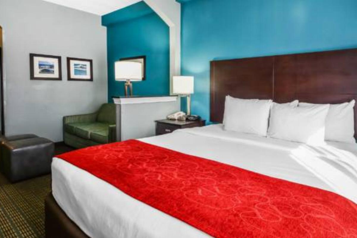Comfort Suites Tampa/Brandon Hotel Brandon USA