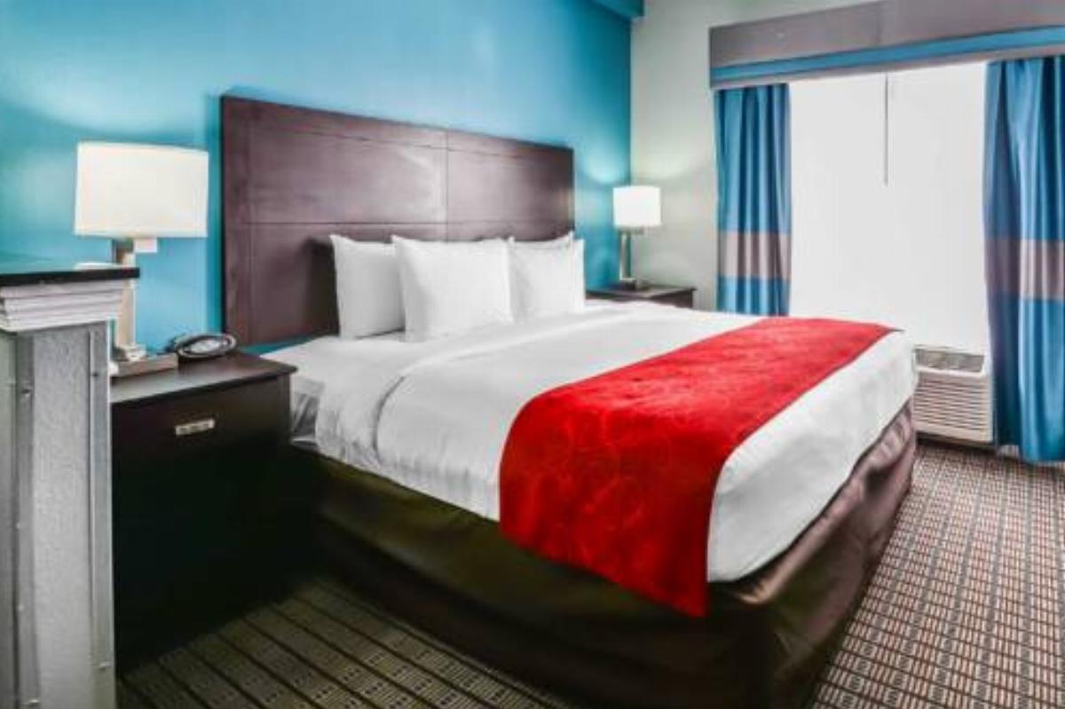 Comfort Suites Tampa/Brandon Hotel Brandon USA