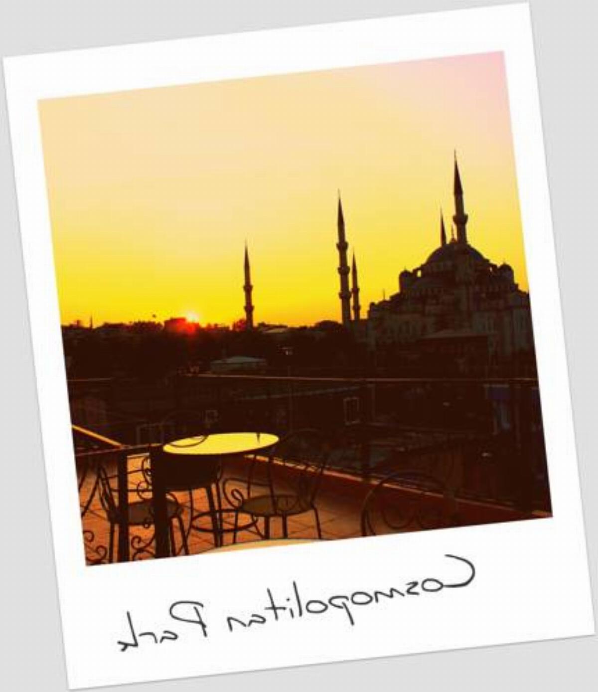 Cosmopolitan Park Hotel Hotel İstanbul Turkey