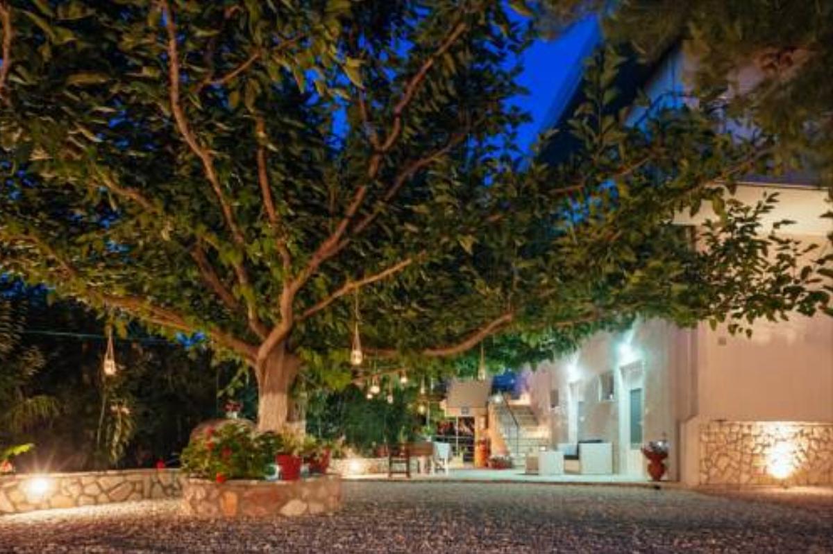 Dimitra Apartments Hotel Kandia Greece