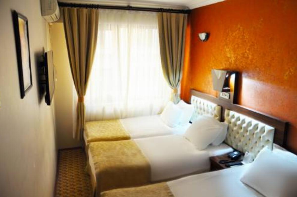 Elan Hotel Hotel İstanbul Turkey
