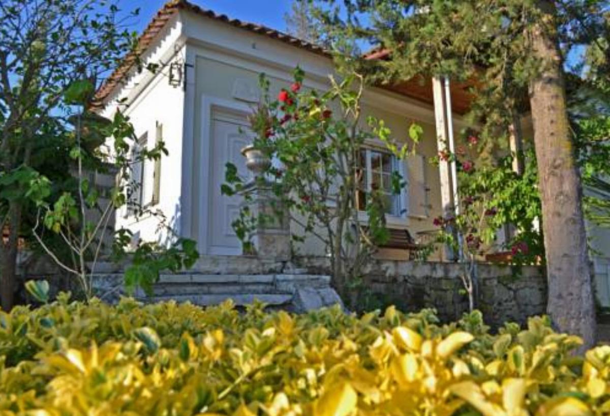 Elegant Villa Zakynthos Hotel Kalamákion Greece