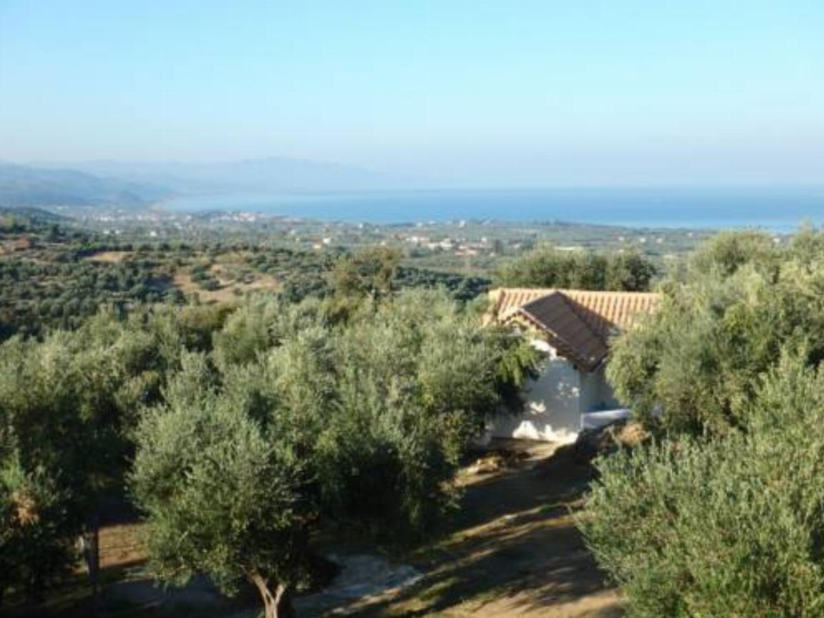 Ferienhaus Olive Garden Hotel Kyparissia Greece