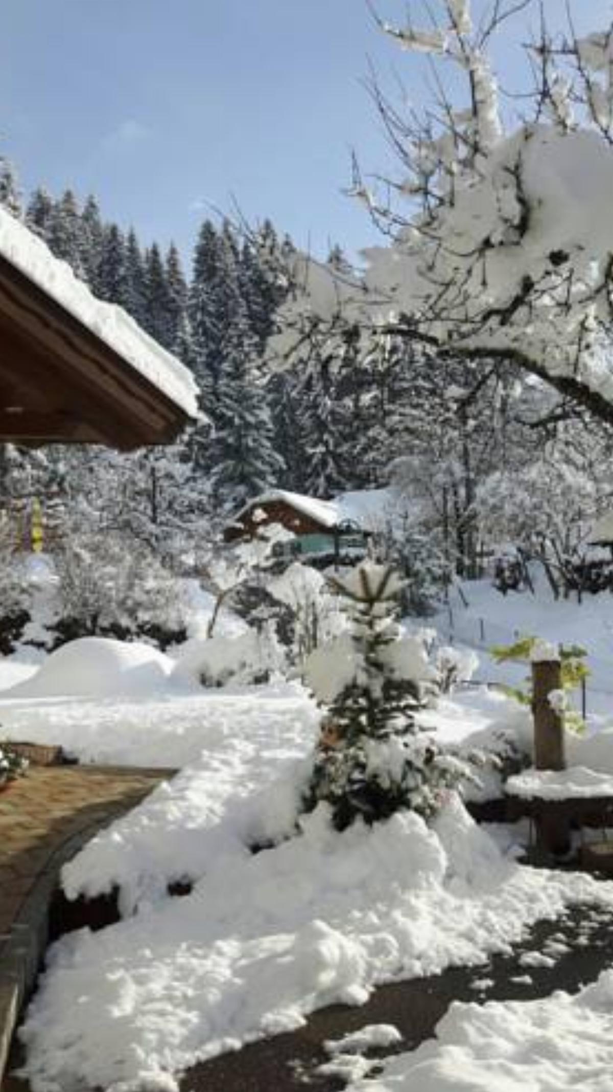 Ferienwohnung Beate Hassler Hotel Berg im Drautal Austria