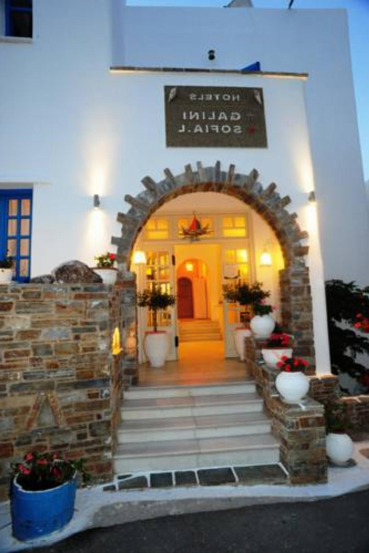 Galini Hotel Hotel Naxos Chora Greece