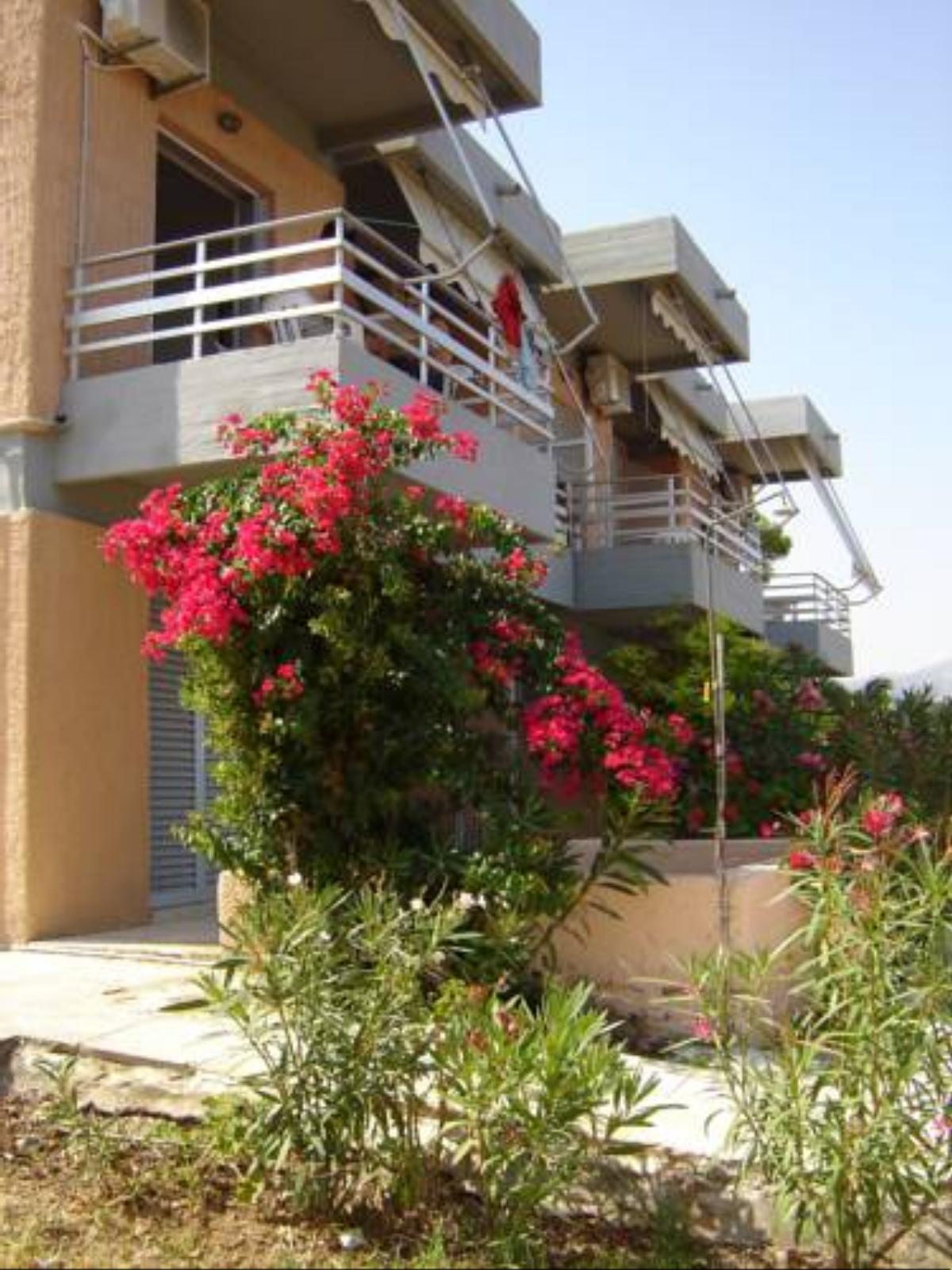Galini Studios and Apartments Hotel Lassi Greece