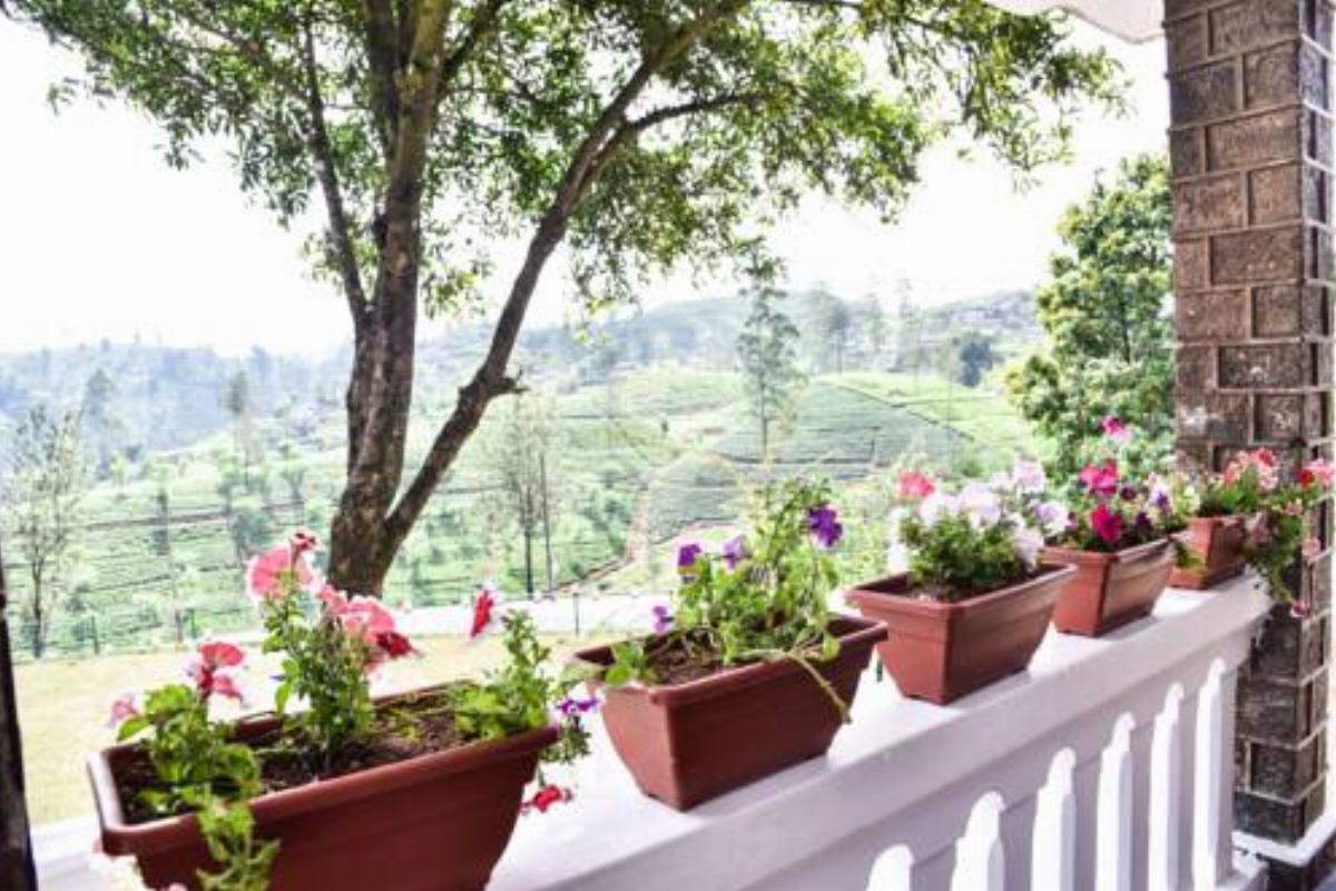 Grand Peak Tea Garden Bungalow Hotel Hatton Sri Lanka