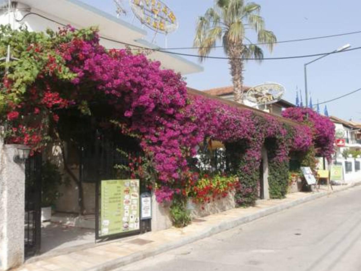 Harry's Bar & Apartments 1 Hotel Acharavi Greece