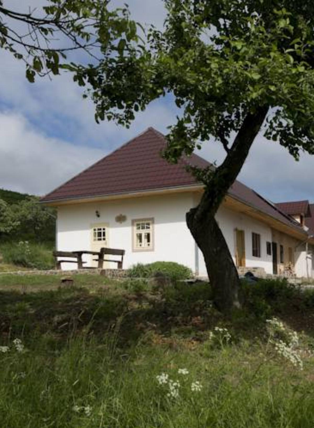Huize Zwaluw - Lastovicka Hotel Pliešovce Slovakia