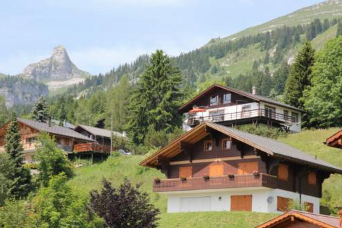 La petite Silene Hotel Leysin Switzerland