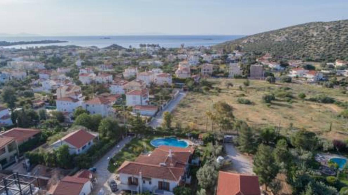 Lagonisi Villa Elsa, magical garden and swimming pool Hotel Lagonissi Greece