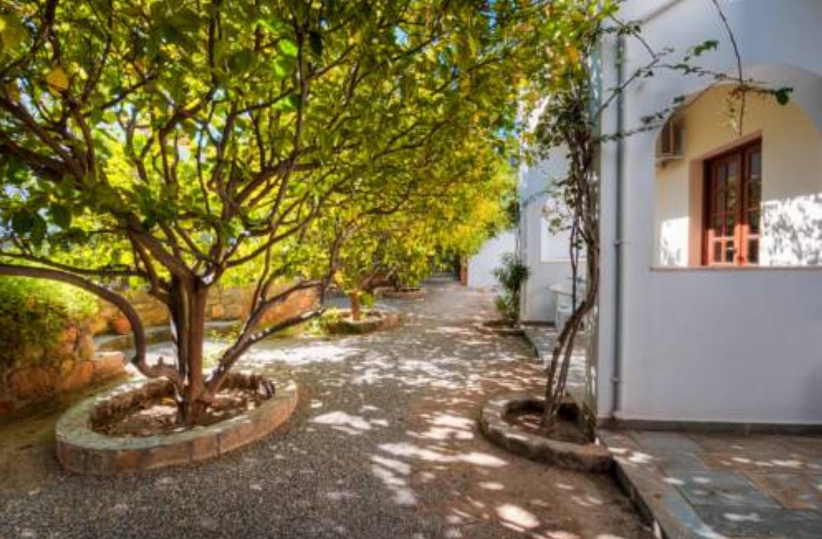 Lemon Tree Pefkos Apartments Hotel Pefki Rhodes Greece
