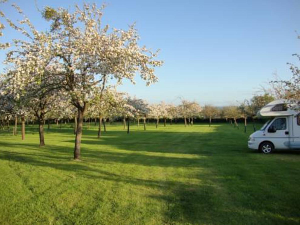 Orchard Farm Campsite Hotel Glastonbury United Kingdom