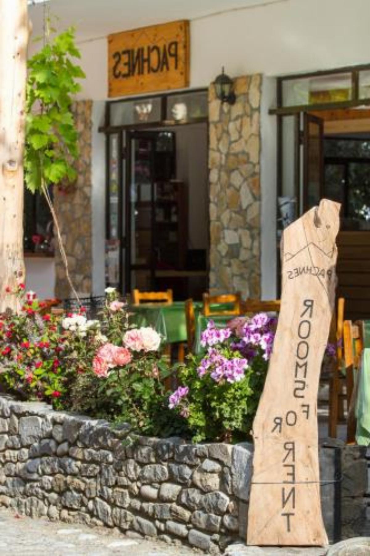 Pachnes Bed and Breakfast Hotel Agia Roumeli Greece