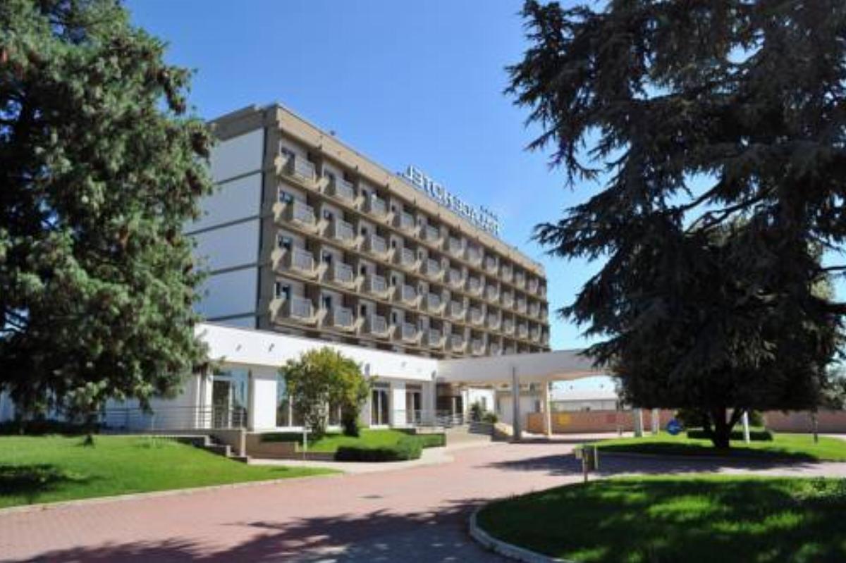Palace Hotel Zingonia Hotel Verdellino Italy