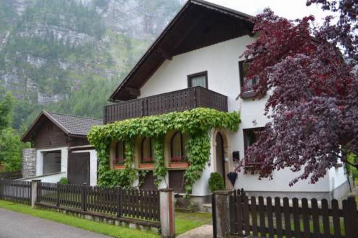 Pear Tree House Hotel Hallstatt Austria