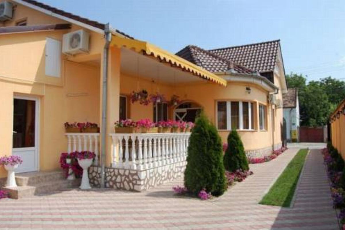 Pensiunea Radena Hotel Arad Romania