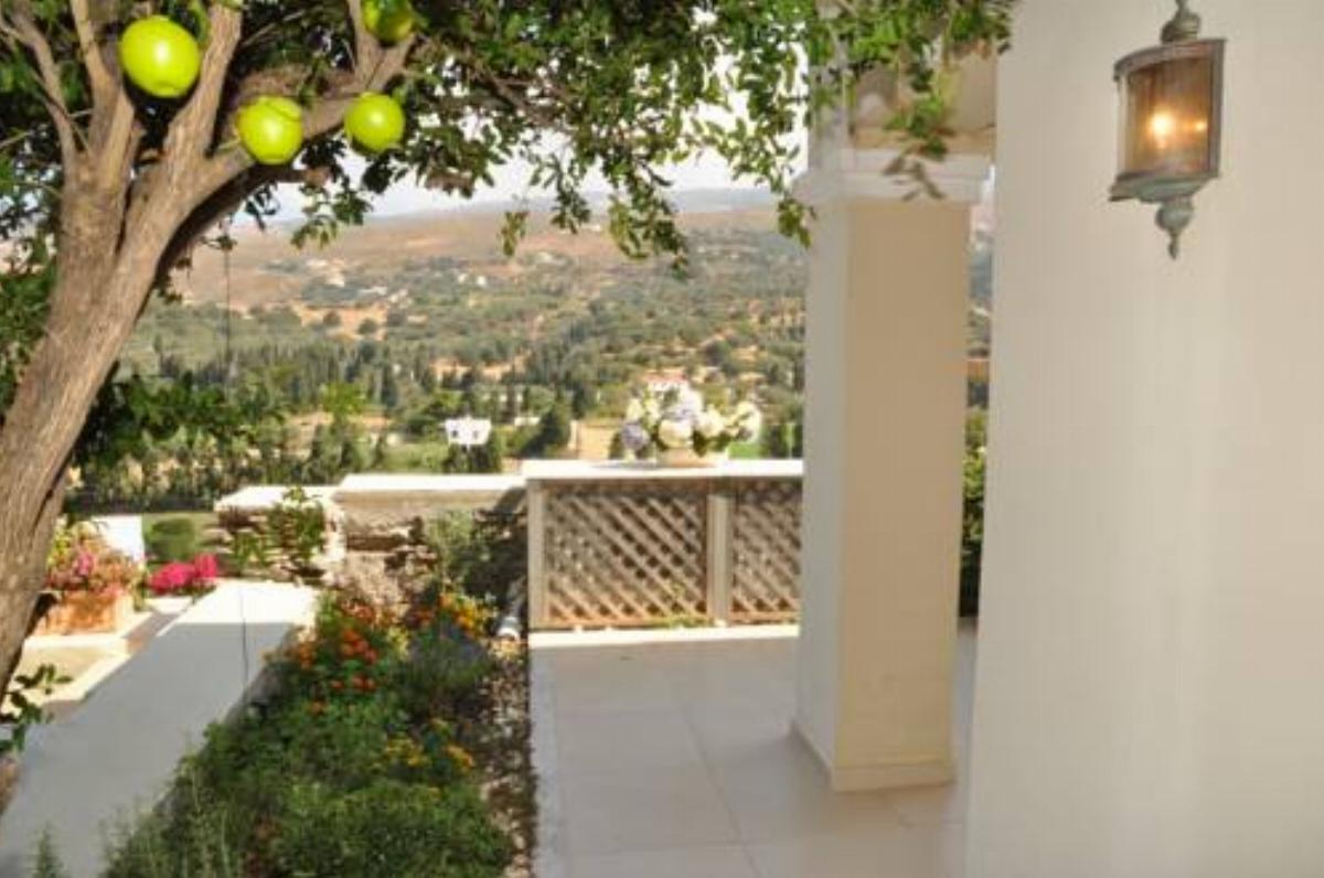 Sofi's Suites Hotel Ándros Greece