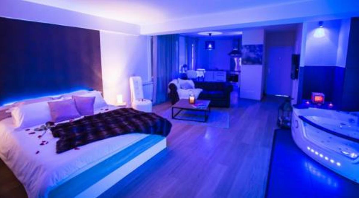 Suite and Spa Hotel Dijon France