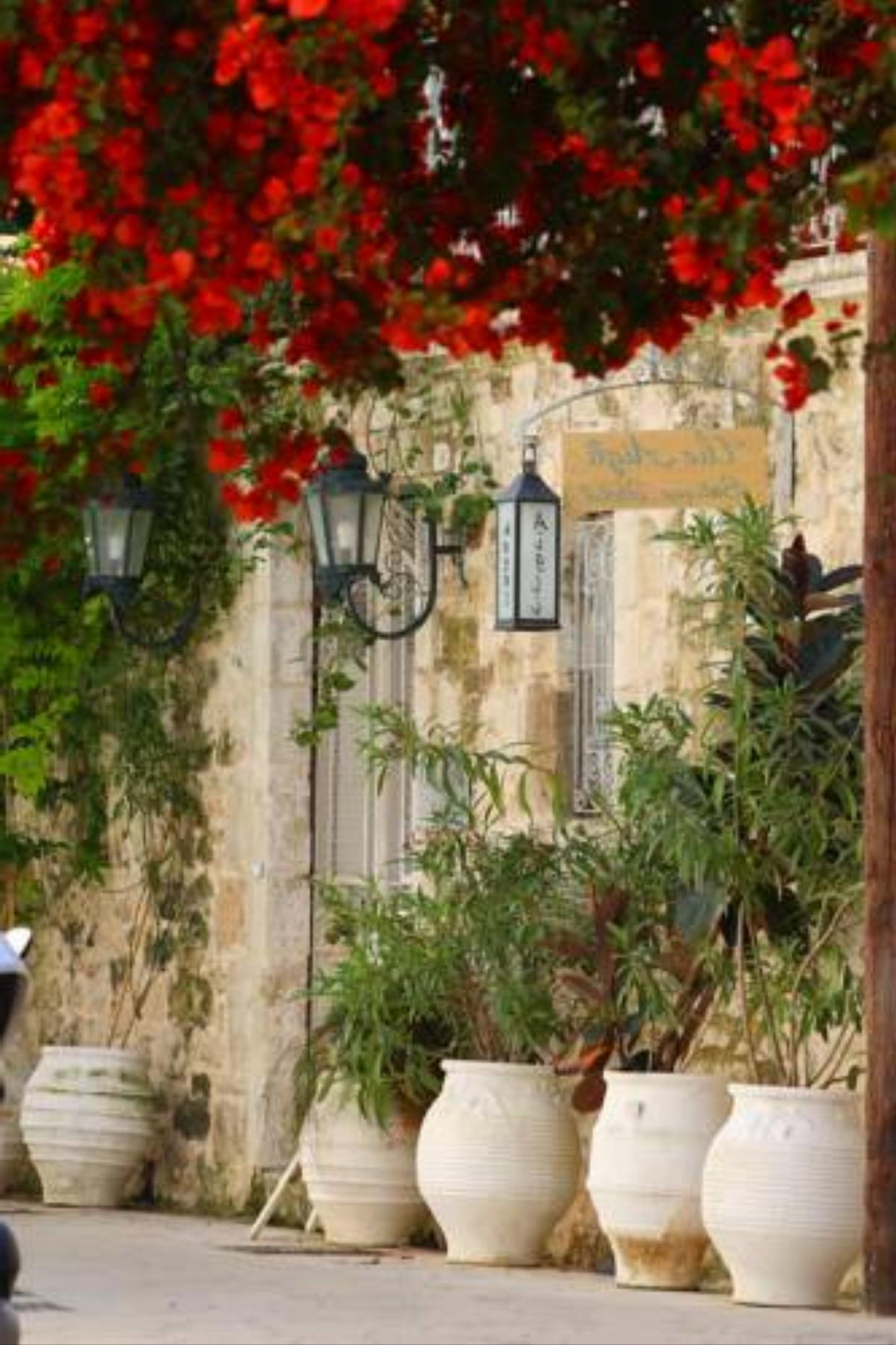 The Aigli Hotel Lefkada Town Greece