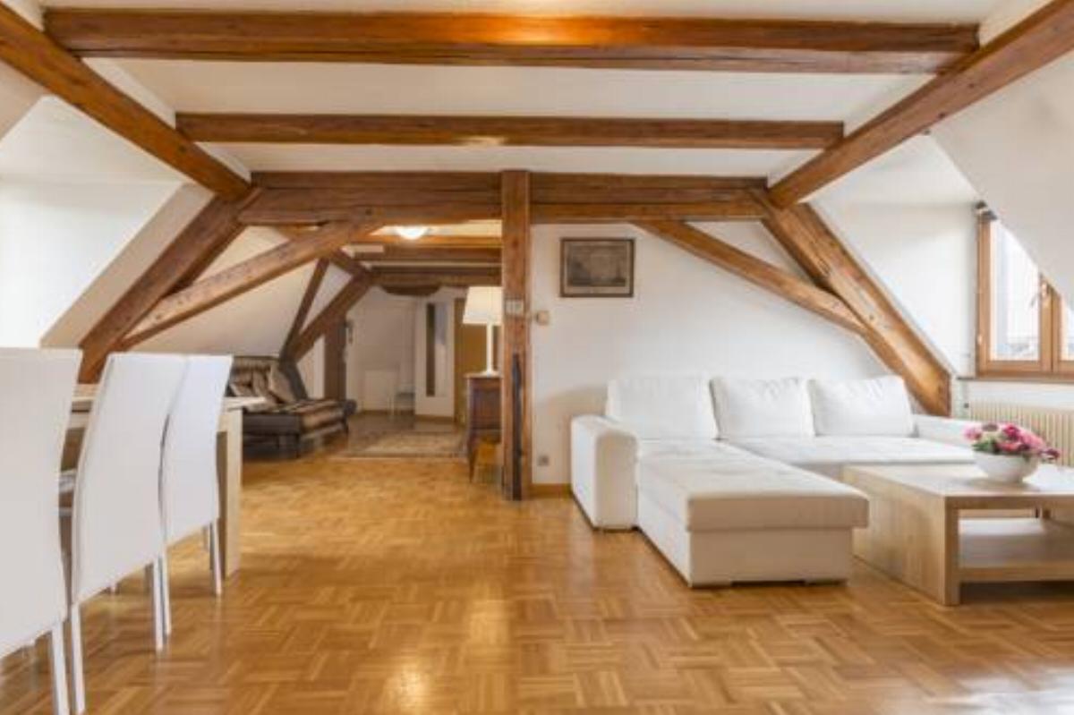 Traditional Loft & Studio Hotel Colmar France