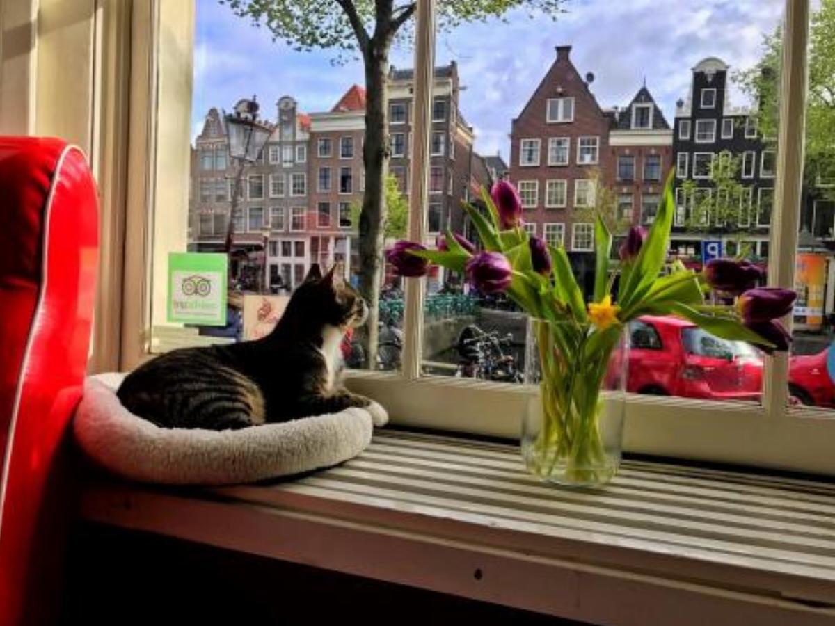 Tulip of Amsterdam B&B Hotel Amsterdam Netherlands
